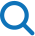 icon search